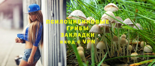 тгк Балахна