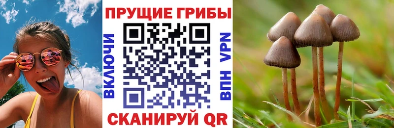 Псилоцибиновые грибы MAGIC MUSHROOMS  MEGA как зайти  Барабинск  где можно купить  