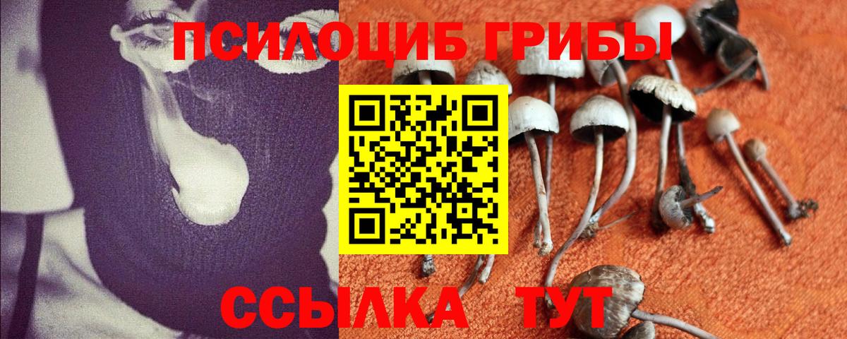 Галлюциногенные грибы мухоморы Барабинск