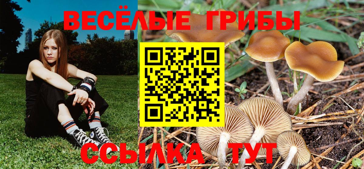 Псилоцибиновые грибы мицелий  где продают наркотики  Барабинск  Вход с VPN  Псилоцибиновые грибы GOLDEN TEACHER 